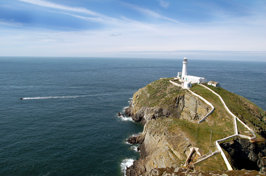 South Stacks Anglesey